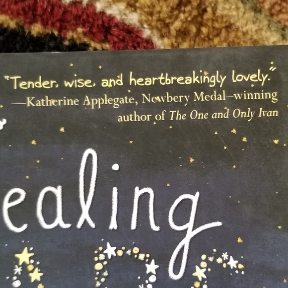 Book - Rules for Stealing Stars (young adult) - Picture 8 of 8